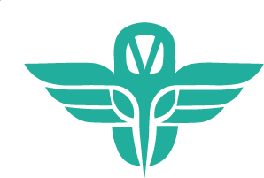 Logo VirtualAid